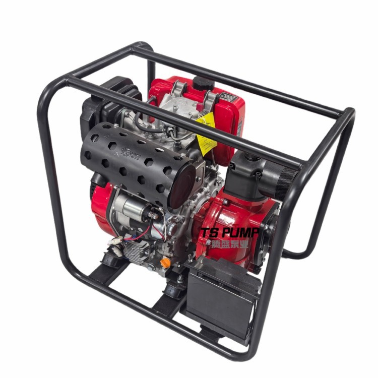 Portable Hand-carried Diesel Pump best