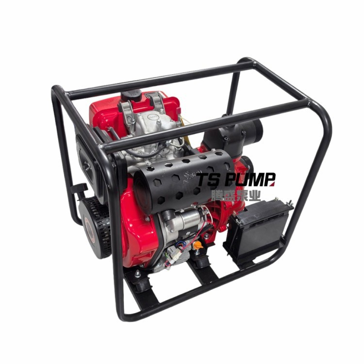 Portable Hand-carried Diesel Pump factory